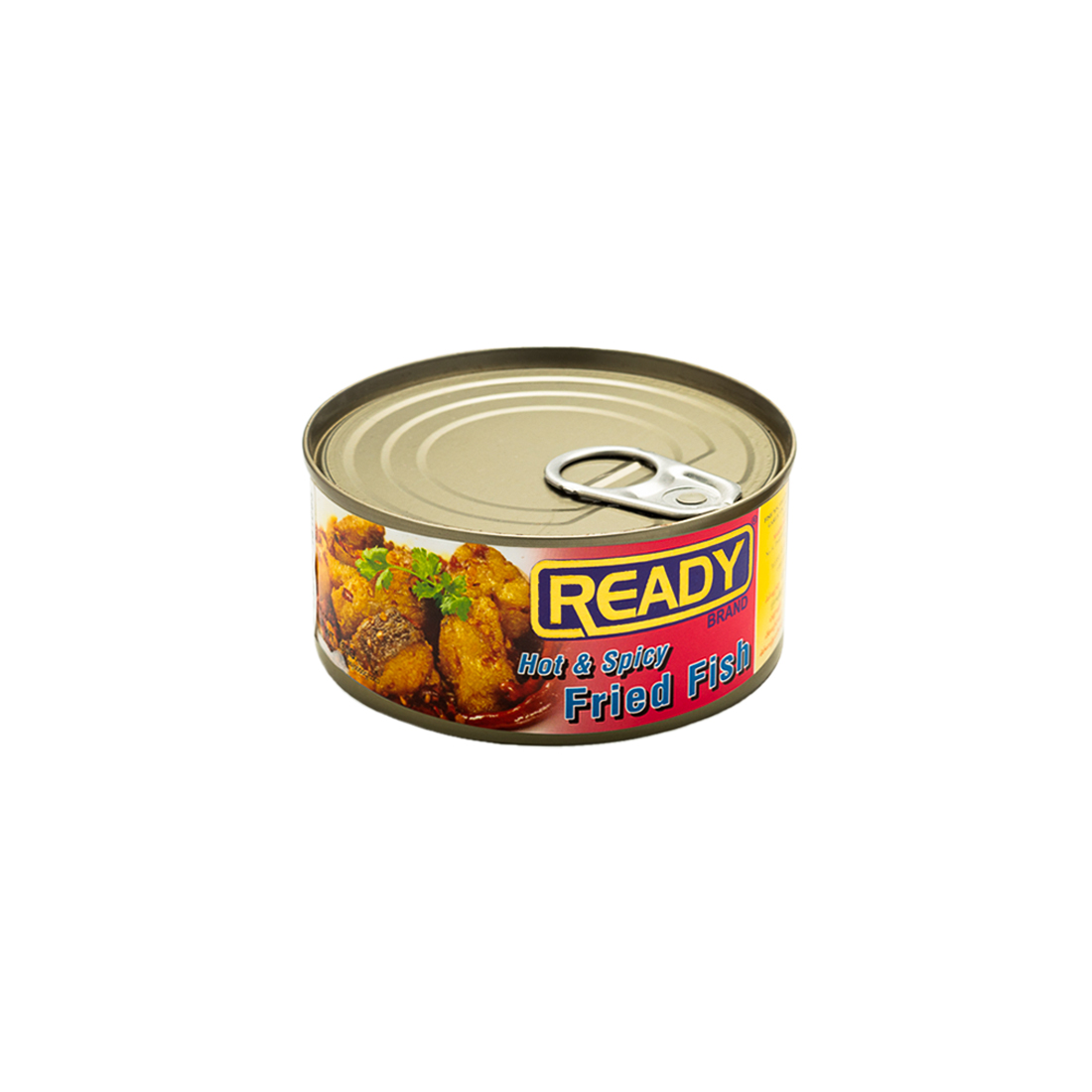 Ready Hot & Spicy Fried Fish Curry 100g